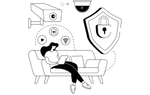 Cybercrime